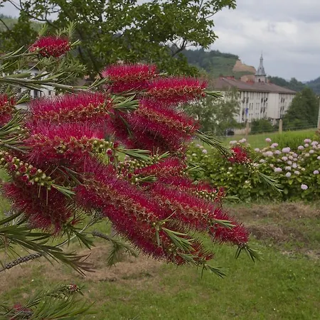 Ibarre 게스트하우스